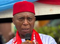 Delta North 2027: Senator Ned Nwoko: A Superior Argument, a Safer Aspiration